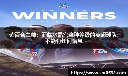 紫百合主帅：面临水晶宫这种等级的英超球队，不能有任何懈怠