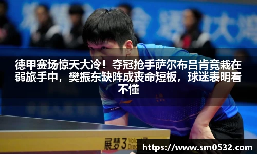 德甲赛场惊天大冷！夺冠抢手萨尔布吕肯竟栽在弱旅手中，樊振东缺阵成丧命短板，球迷表明看不懂